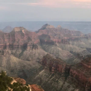 Meet your Posher, Jenny